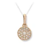 Anheng Gult gull