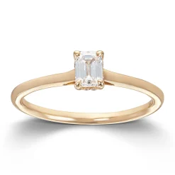 Ring Gult gull