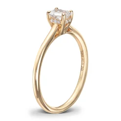 Ring Gult gull