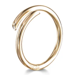 Ring Gult gull