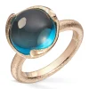 Ring Gult gull