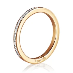 Ring Gult gull