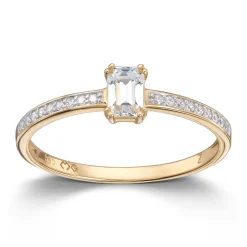 Ring Gult gull
