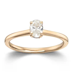Ring Gult gull