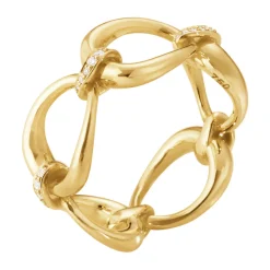 Ring Gult gull