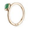 Ring Gult gull