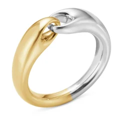 Ring Gult gull