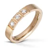 Ring Gult gull