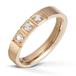 Ring Gult gull