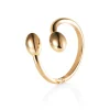 Ring Gult gull