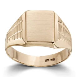 Ring Gult gull