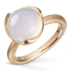 Ring Gult gull