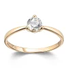 Ring Gult gull