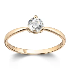 Ring Gult gull