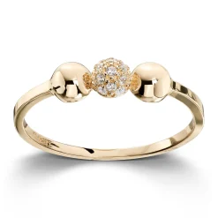 Ring Gult gull