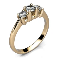 Ring Gult gull