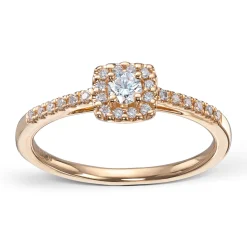 Ring Gult gull
