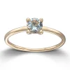 Ring Gult gull