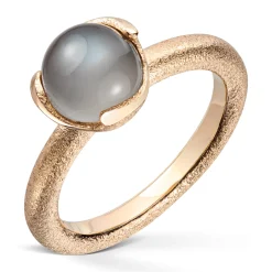Ring Gult gull