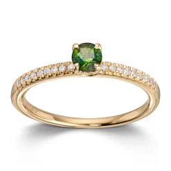 Ring Gult gull