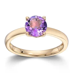 Ring Gult gull