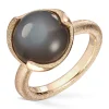 Ring Gult gull