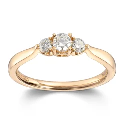 Ring Gult gull