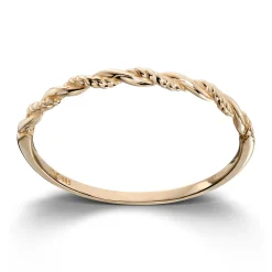 Ring Gult gull