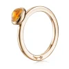 Ring Gult gull