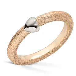 Ring Gult gull
