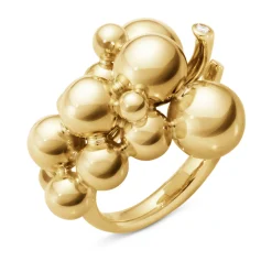 Ring Gult gull