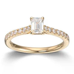 Ring Gult gull