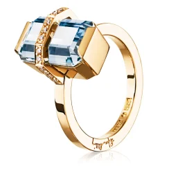 Ring Gult gull
