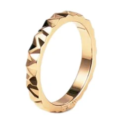 Ring Gult gull