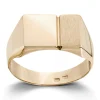 Ring Gult gull