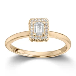Ring Gult gull