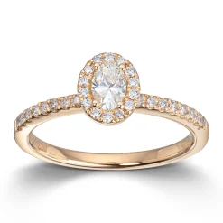 Ring Gult gull