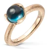 Ring Gult gull