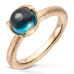 Ring Gult gull