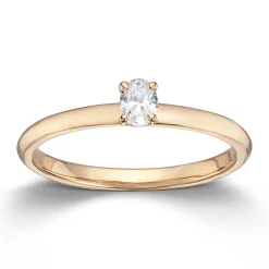Ring Gult gull