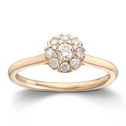 Ring Gult gull
