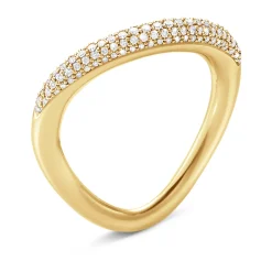 Ring Gult gull
