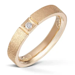 Ring Gult gull