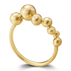 Ring Gult gull
